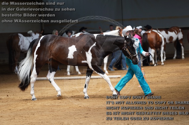 s_A_900336.JPG